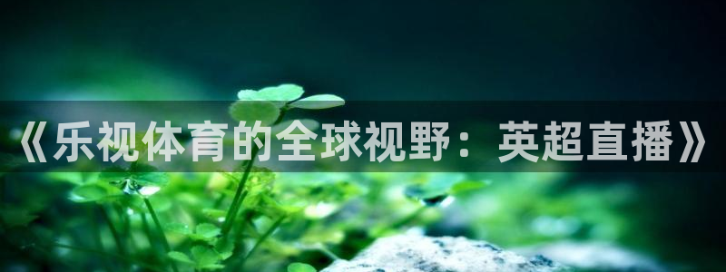 《乐视体育的全球视野：英超直播》