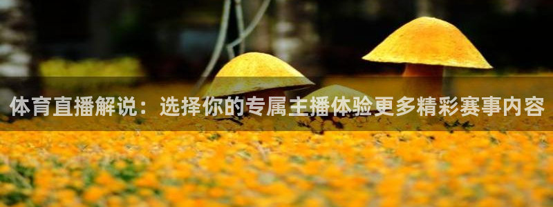 体育直播解说：选择你的专属主播体验更多精彩赛事内容