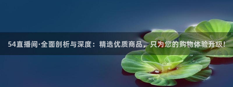 54直播间·全面剖析与深度：精选优质商品，只为您的购物体验升级!