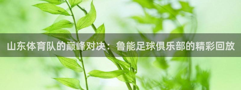 山东体育队的巅峰对决：鲁能足球俱乐部的精彩回放