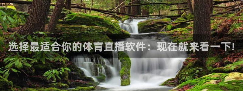 选择最适合你的体育直播软件：现在就来看一下!