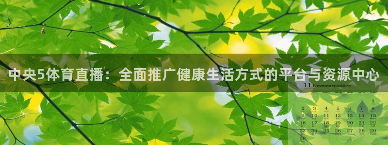 中央5体育直播：全面推广健康生活方式的平台与资源中心