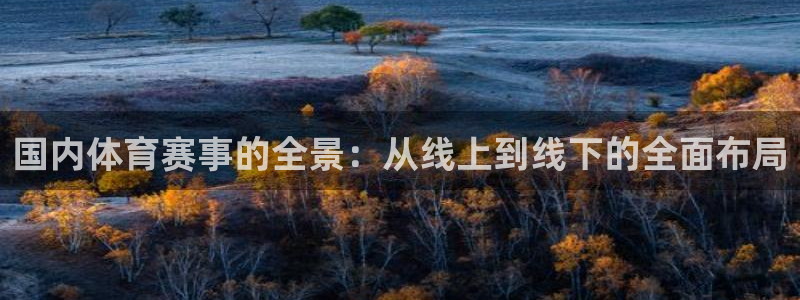国内体育赛事的全景：从线上到线下的全面布局