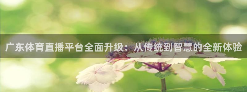 广东体育直播平台全面升级：从传统到智慧的全新体验