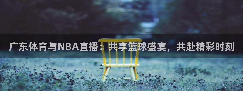 广东体育与NBA直播：共享篮球盛宴，共赴精彩时刻