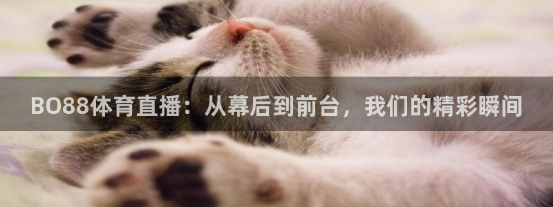 BO88体育直播：从幕后到前台，我们的精彩瞬间