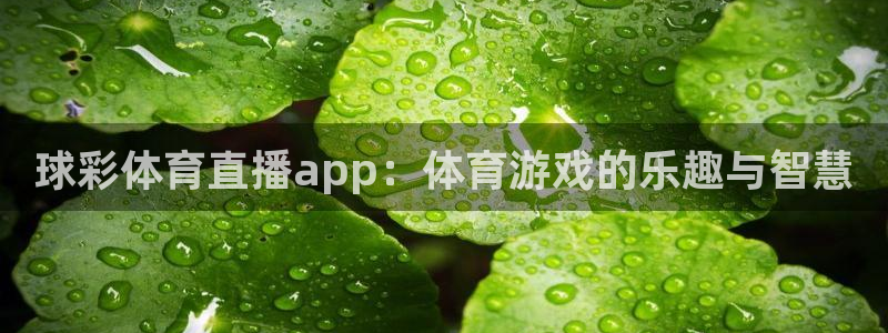 球彩体育直播app：体育游戏的乐趣与智慧