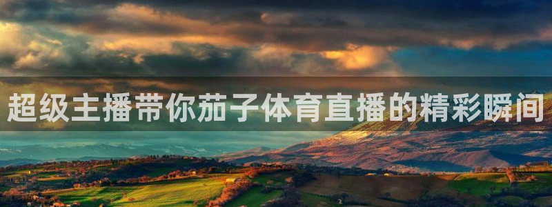超级主播带你茄子体育直播的精彩瞬间