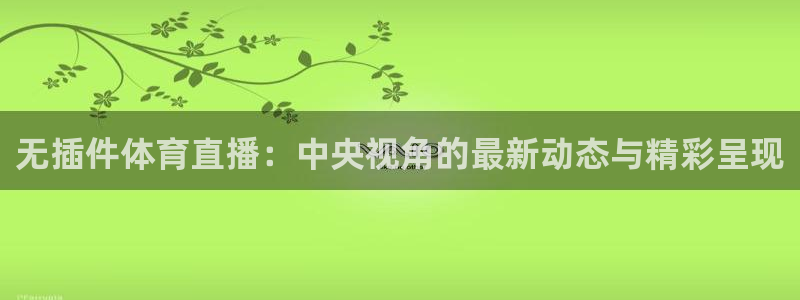 无插件体育直播：中央视角的最新动态与精彩呈现