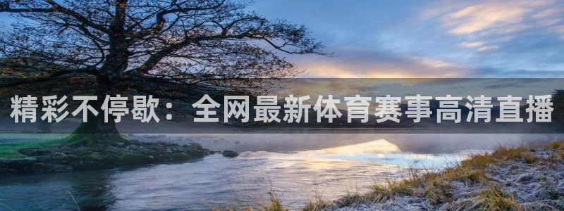 精彩不停歇：全网最新体育赛事高清直播