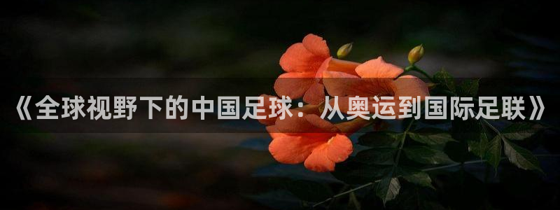 《全球视野下的中国足球：从奥运到国际足联》