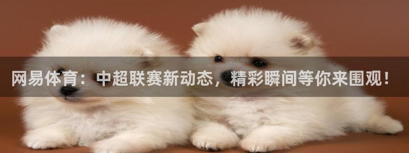 网易体育：中超联赛新动态，精彩瞬间等你来围观！