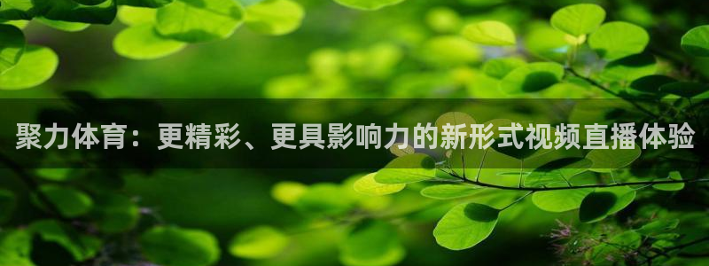 聚力体育：更精彩、更具影响力的新形式视频直播体验