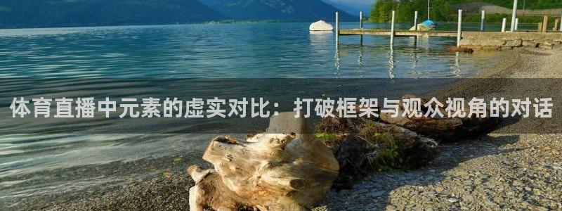 体育直播中元素的虚实对比：打破框架与观众视角的对话
