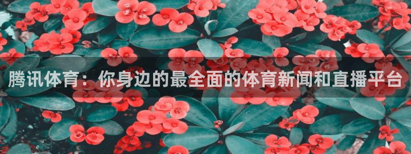 腾讯体育：你身边的最全面的体育新闻和直播平台