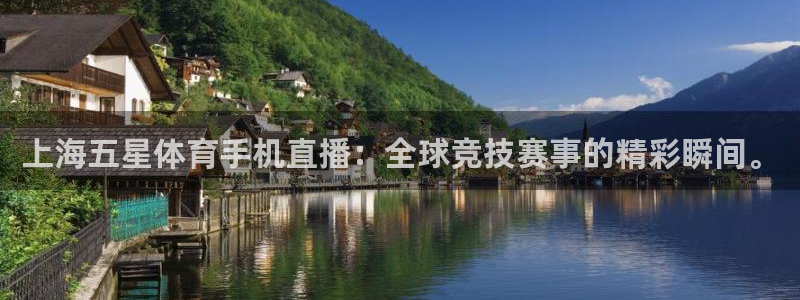 上海五星体育手机直播：全球竞技赛事的精彩瞬间。