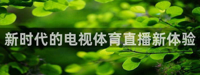 新时代的电视体育直播新体验