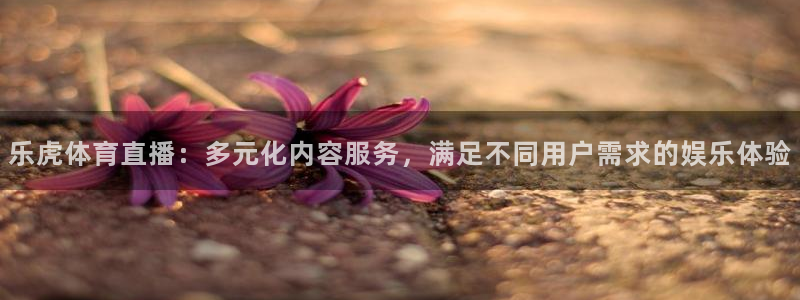 乐虎体育直播：多元化内容服务，满足不同用户需求的娱乐体验