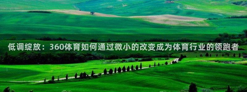 低调绽放：360体育如何通过微小的改变成为体育行业的领跑者