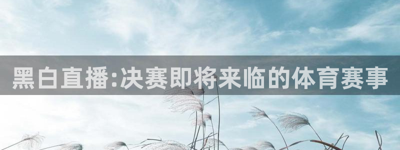 黑白直播:决赛即将来临的体育赛事