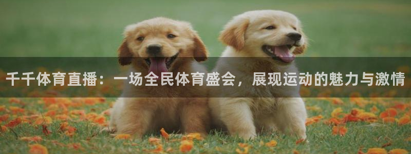 千千体育直播：一场全民体育盛会，展现运动的魅力与激情